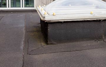 disadvantages of Diddington flat roofs
