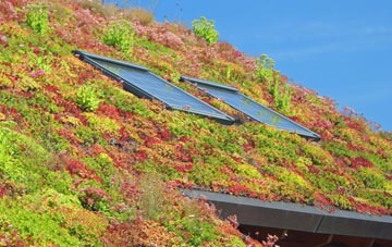 Diddington living roof systems