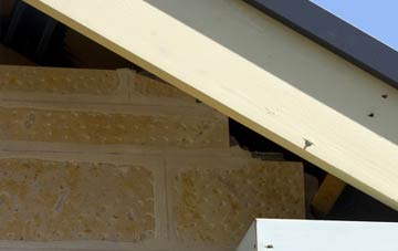 soffit repair Diddington